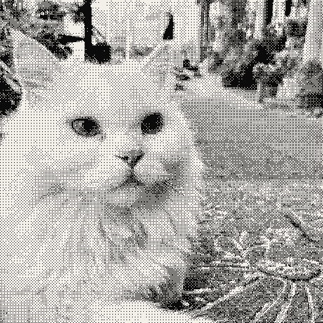 A white cat on a street, dithered to two tones.
