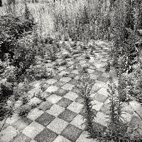 An overgrown checkered path, dithered to two tones.