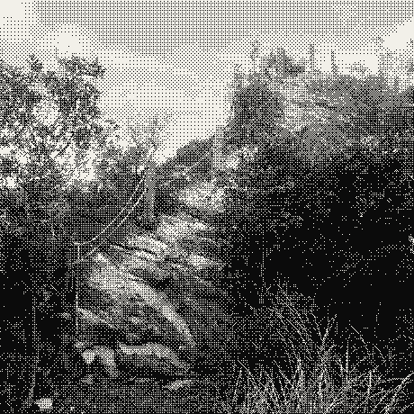 A stone trail climbing through overgrown hillside, dithered to two tones.